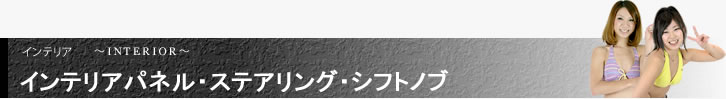 インテリアパネル・ステアリング・シフトノブ